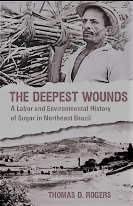 Notes on Thomas Rogers’ Deepest Wounds