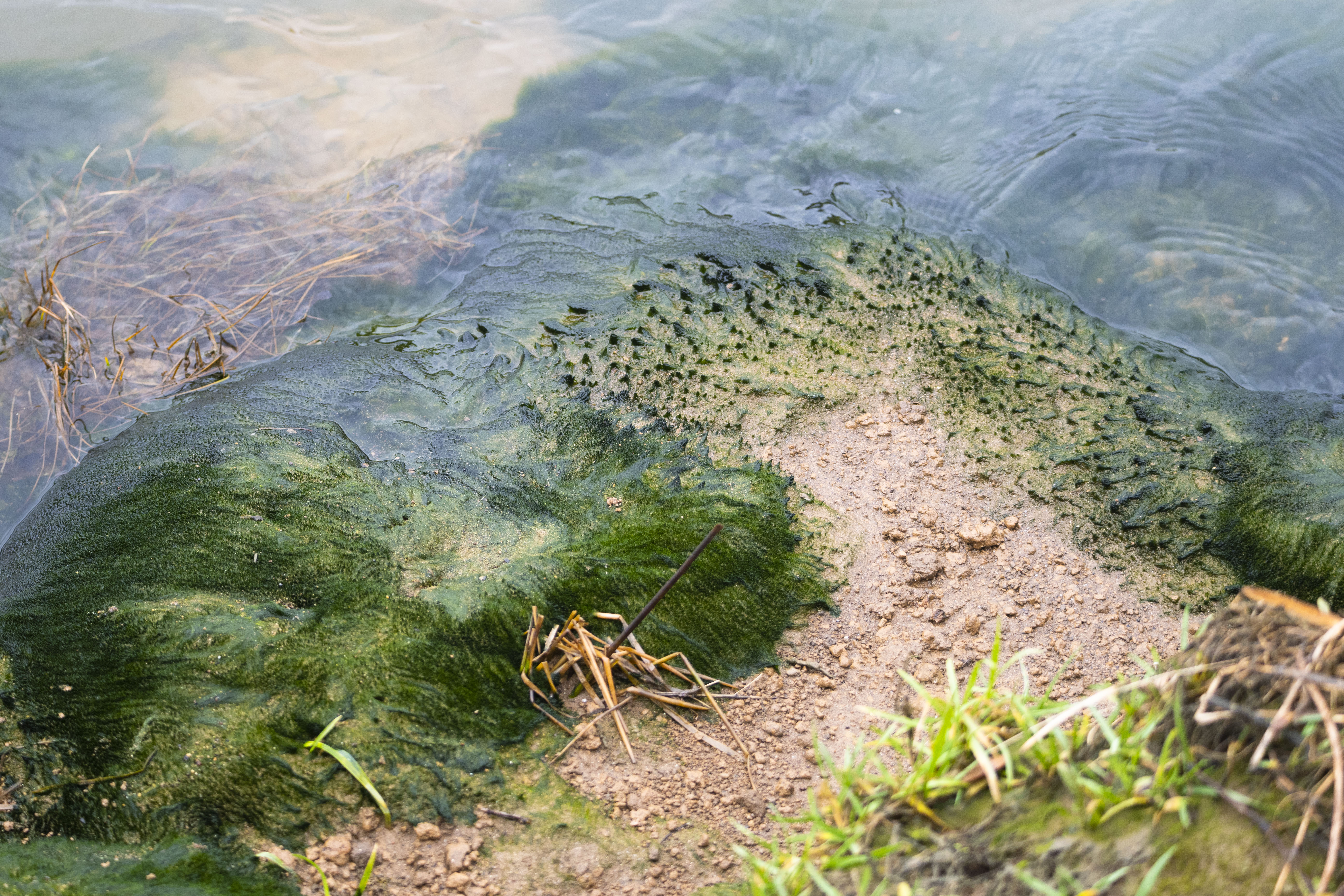 French Broad River Views| U.T. KNoxville GeoSym 2023 #PhotoEssay